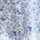 WHITE-BLUE