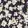 BLACK-FLORAL