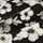 BLACK-FLORAL