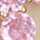 GOLD-PINK