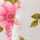 WHITE-PINK-MULTI