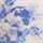 WHITE-BLUE