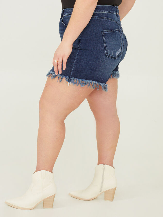 Gabby Vintage Denim Shorts Detail 4 - ARULA