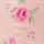 PINK-MULTI