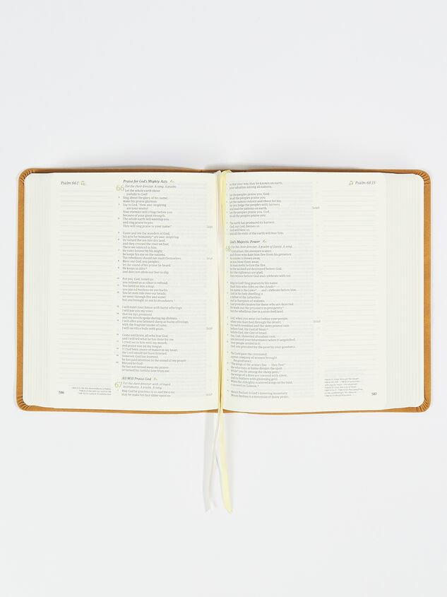 Bristol Journaling Bible Detail 2 - ARULA