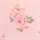 PINK-IVORY