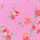 PINK-ORANGE