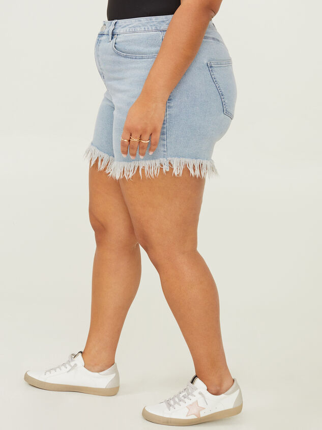 Gabby Vintage Denim Shorts Detail 4 - ARULA