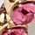 GOLD-PINK