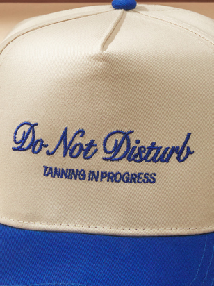 Do Not Disturb Trucker - ARULA
