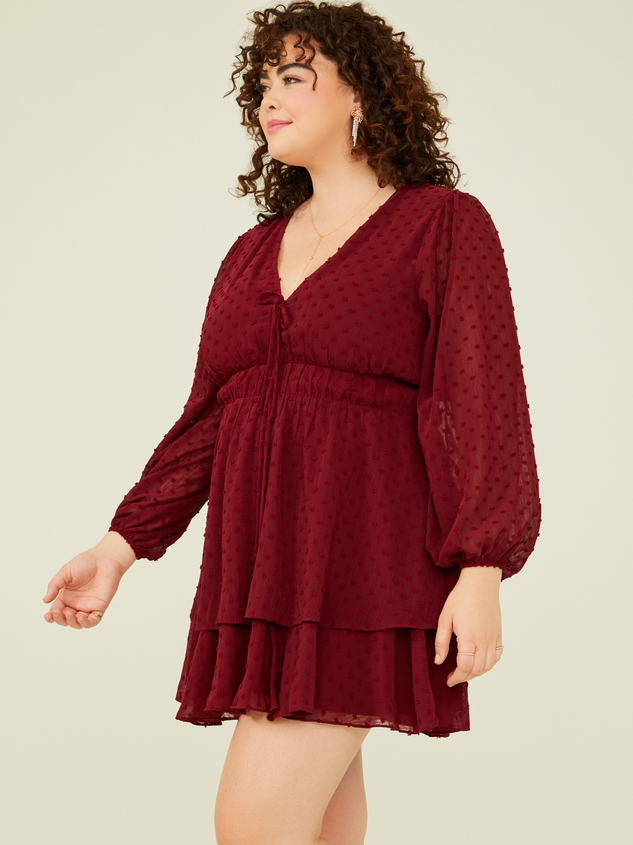 Adelyn Clipdot Dress Detail 2 - ARULA