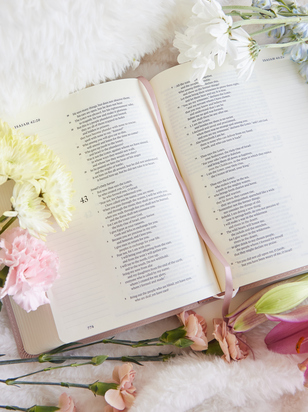 Hosanna Revival NLT Journaling Bible: Shiloh Theme - ARULA