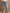 Destructed Girlfriend Jeans Detail 3 - ARULA