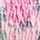 PINK-MULTI