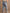 Destructed Girlfriend Jeans Detail 5 - ARULA